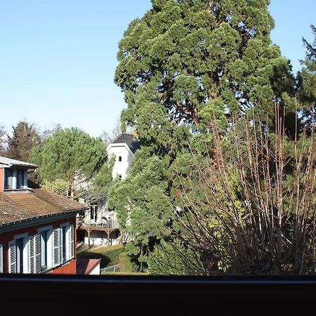Superb Apt- Garden- 3 Parkings, Near Petite Venise ! Κολμάρ Εξωτερικό φωτογραφία