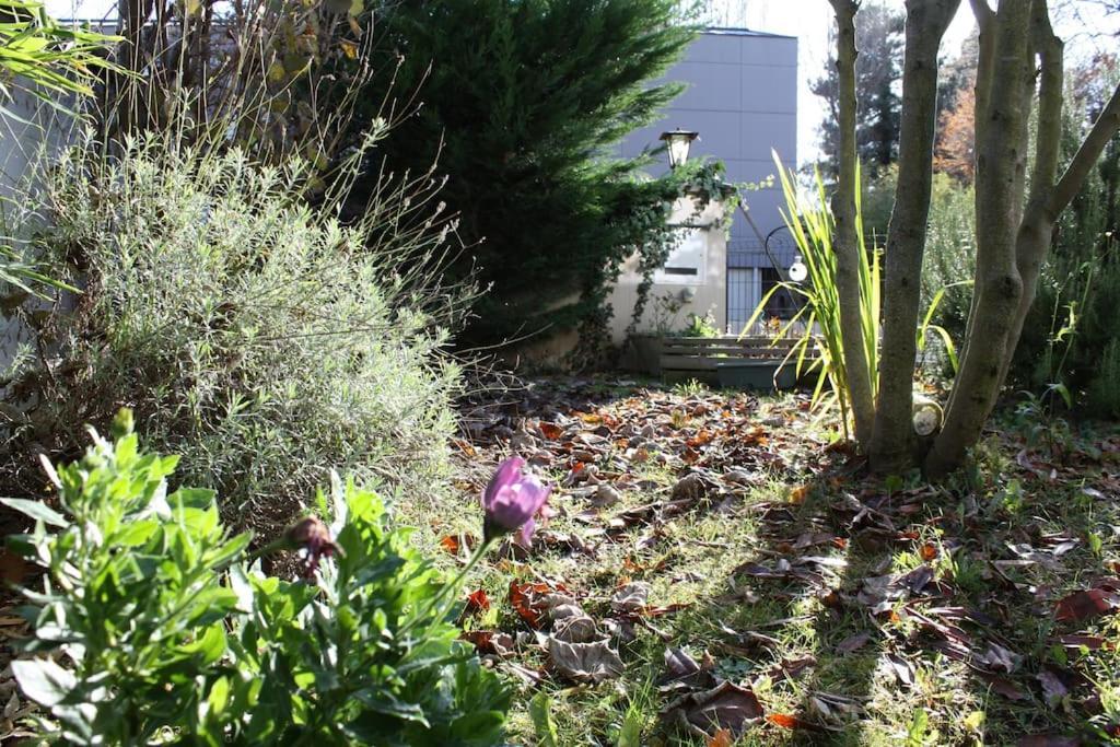 Superb Apt- Garden- 3 Parkings, Near Petite Venise ! Κολμάρ Εξωτερικό φωτογραφία
