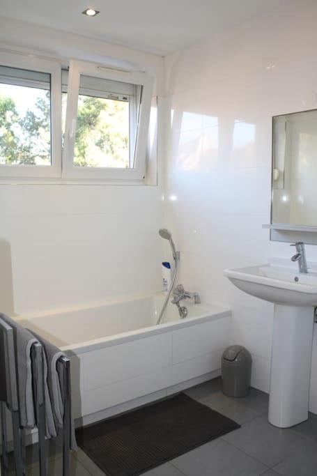 Superb Apt- Garden- 3 Parkings, Near Petite Venise ! Κολμάρ Εξωτερικό φωτογραφία