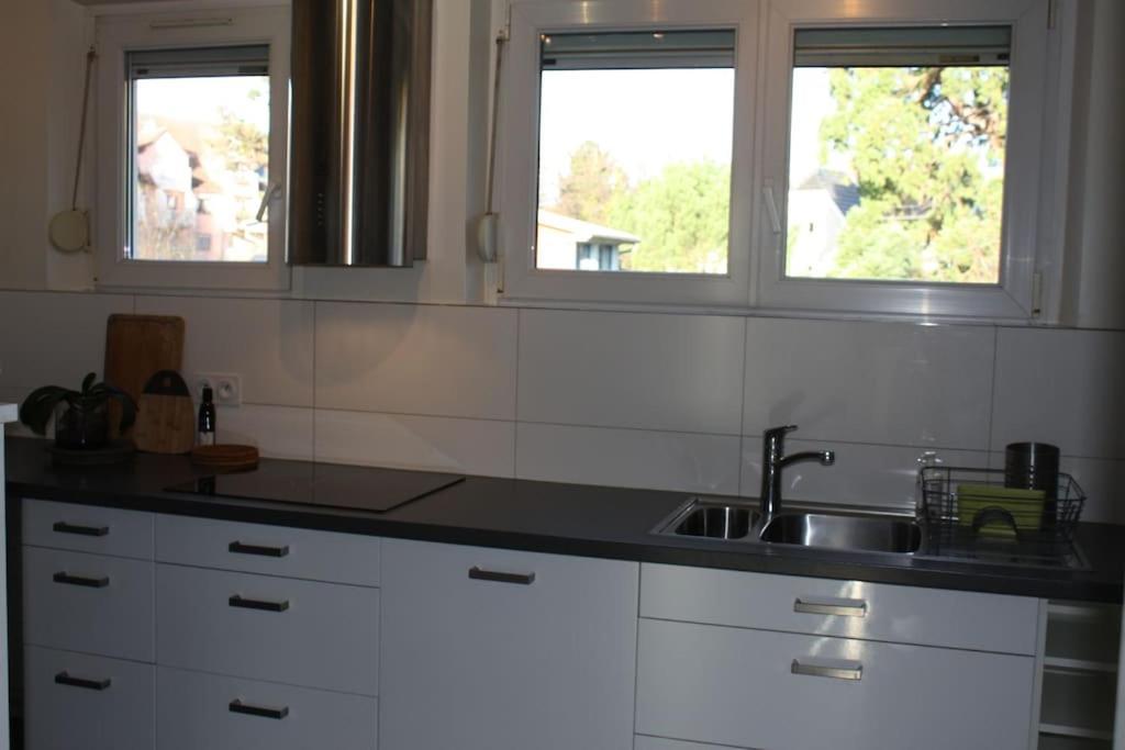 Superb Apt- Garden- 3 Parkings, Near Petite Venise ! Κολμάρ Εξωτερικό φωτογραφία