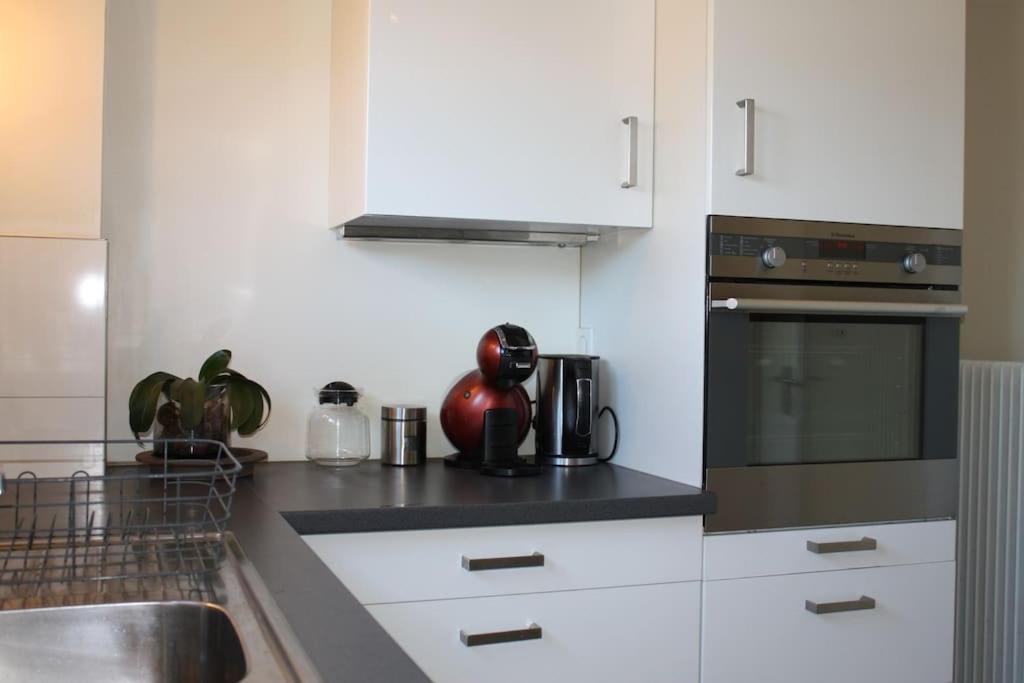 Superb Apt- Garden- 3 Parkings, Near Petite Venise ! Κολμάρ Εξωτερικό φωτογραφία