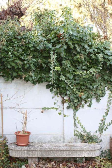 Superb Apt- Garden- 3 Parkings, Near Petite Venise ! Κολμάρ Εξωτερικό φωτογραφία