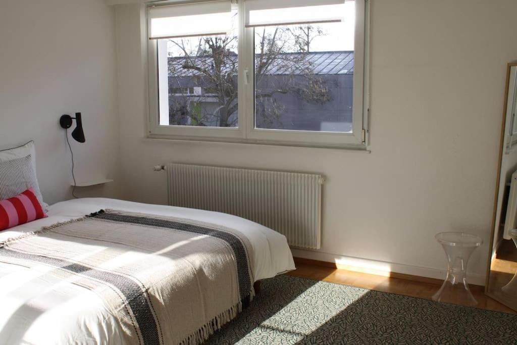 Superb Apt- Garden- 3 Parkings, Near Petite Venise ! Κολμάρ Εξωτερικό φωτογραφία